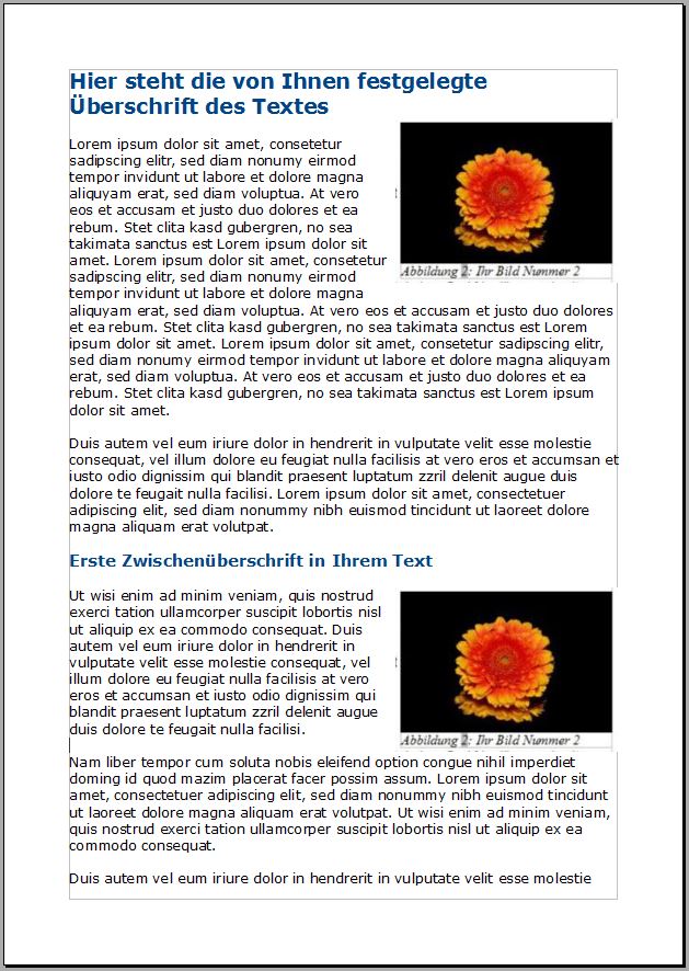 Text mit Bild Text mit Bild, ihre Vorgaben